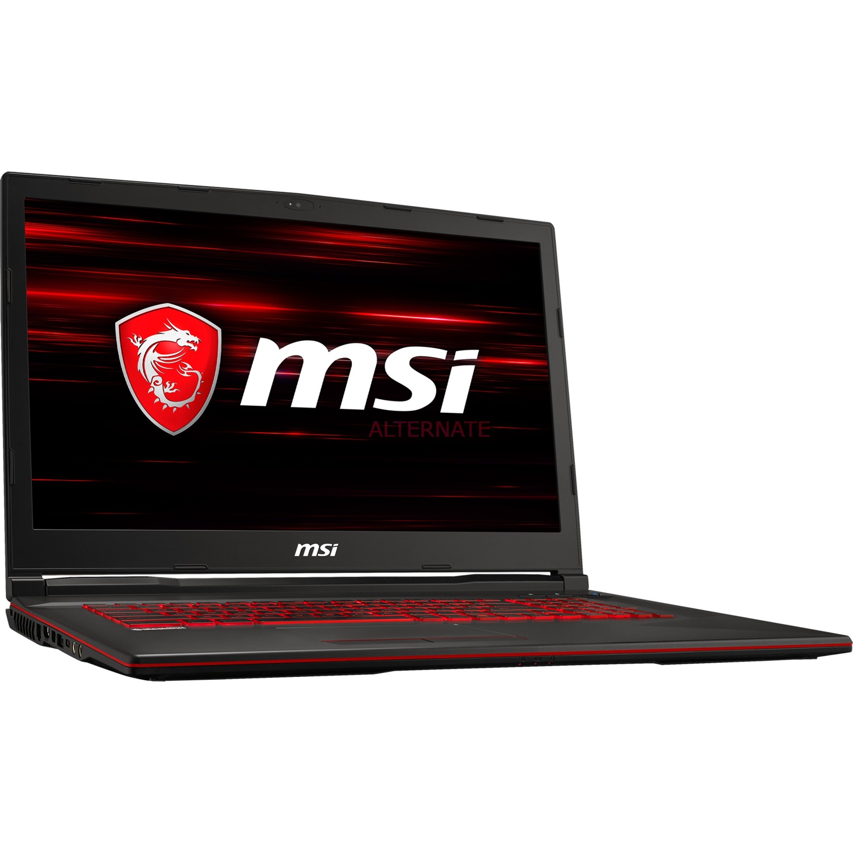 MSI GL73 8SE-019 Gaming Notebook (17.3", Core i7, GeForce RTX 2060, 1TB HDD, 8GB DDR4)